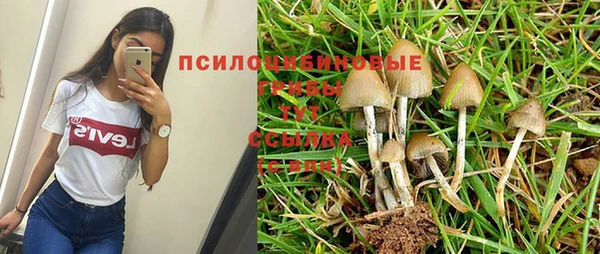 прущая мука Абаза