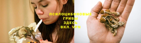 мяу мяу мука Абинск