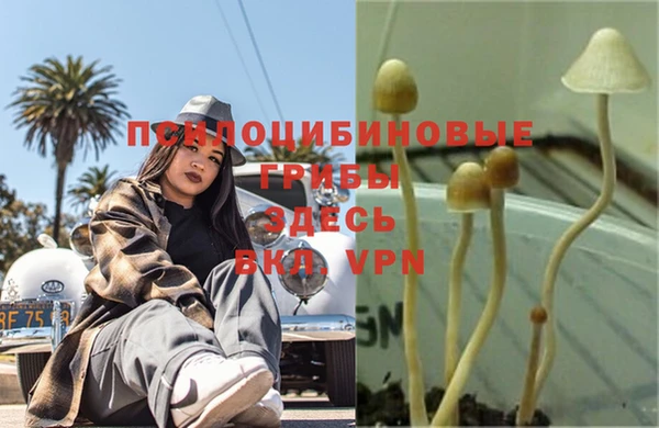 индика Осташков