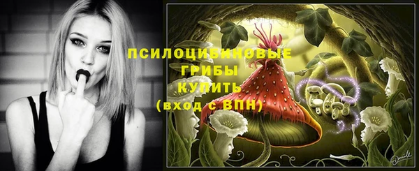 мяу мяу мука Абинск