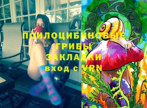 прущая мука Абаза