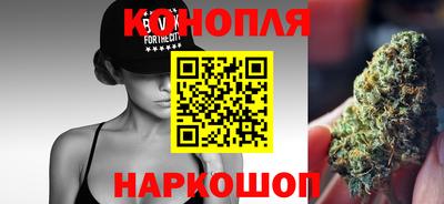 трава Сланцы