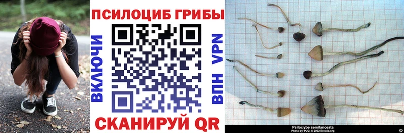 Галлюциногенные грибы прущие грибы  Ялуторовск 