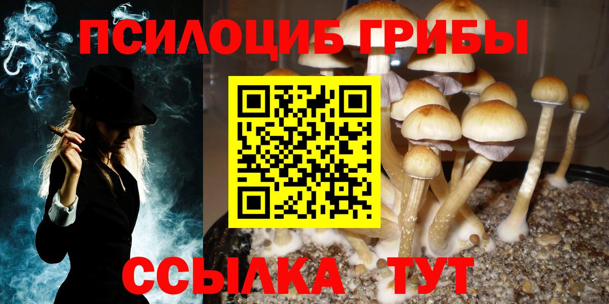 купить наркотики сайты  Псилоцибиновые грибы мухоморы  Вход с VPN  Ялуторовск  Псилоцибиновые грибы Psilocybine cubensis 