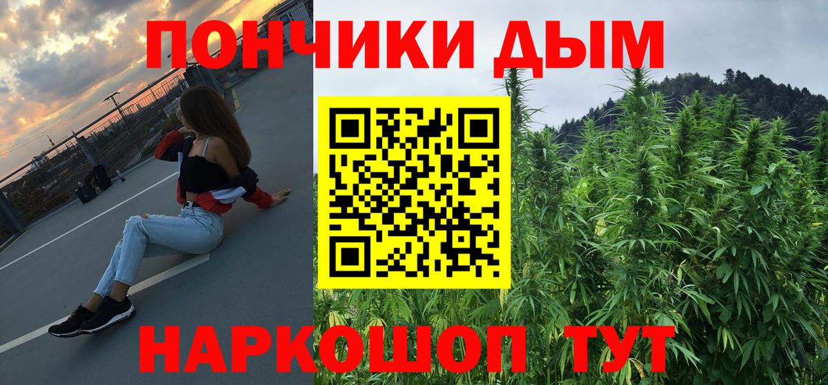 Шишки марихуана план  Каннабис SATIVA & INDICA  Вход с VPN  Шишки марихуана конопля  Ялуторовск 